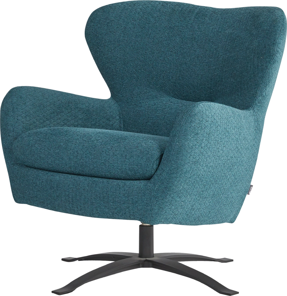 Fauteuil Tessel Dyyk 2