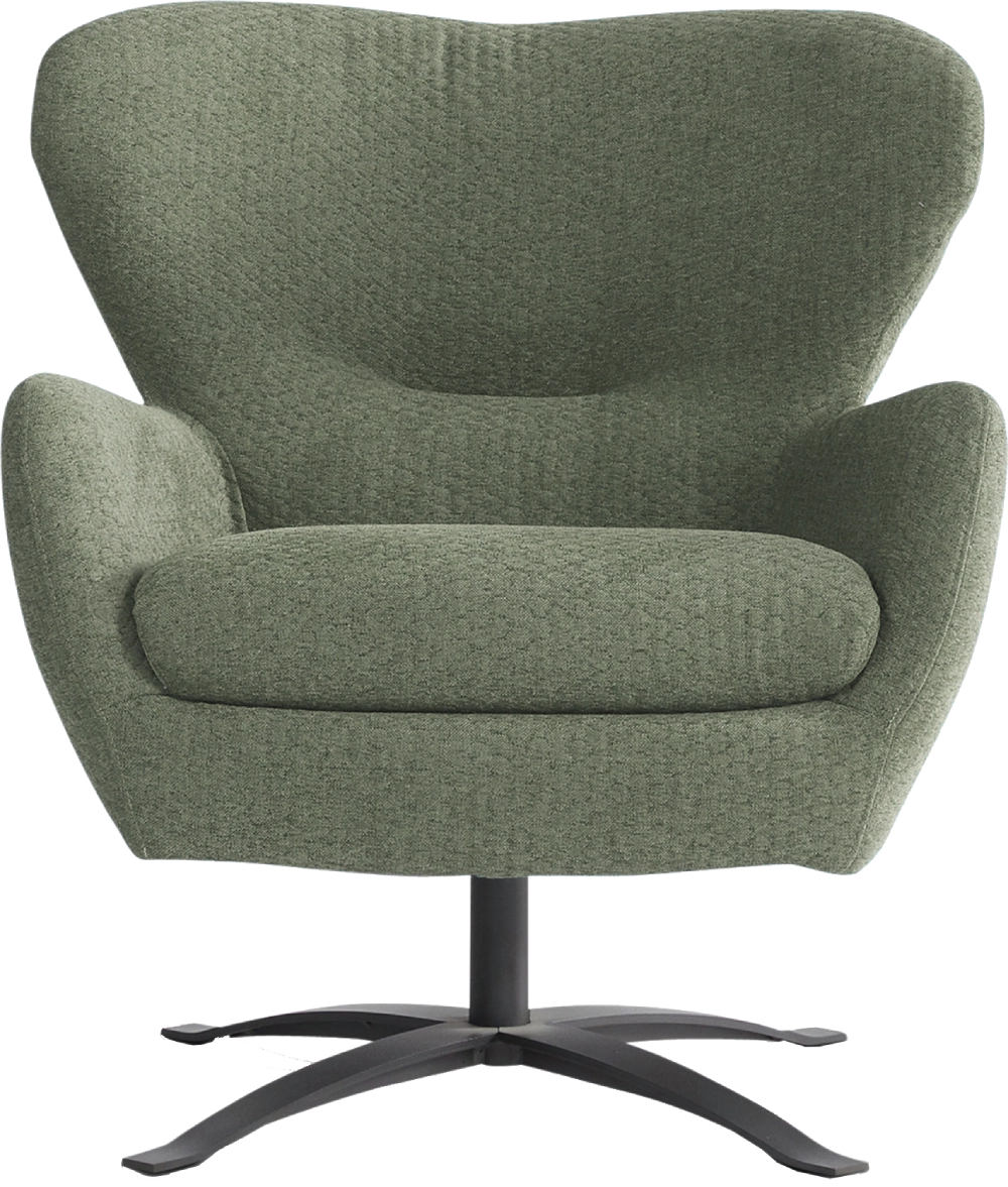 Fauteuil Tessel Dyyk 4